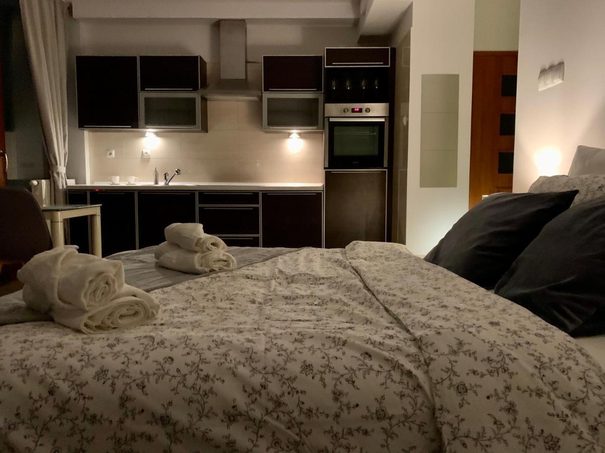 City View Wellness Apartment Swim&Steam&Relax Kraków Eksteriør billede